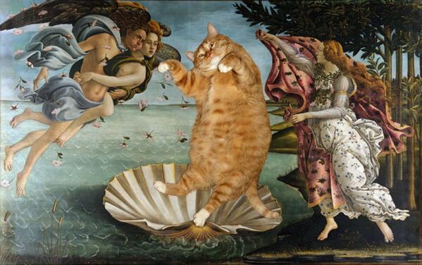 repubblica's tweet photo. Zarathustra, il gatto capolavoro che "riscrive" la storia dell'arte, va in mostra http://t.co/nOyc2Vq0QB http://t.co/wmcMwqsB82