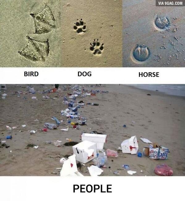 9GAG tweet picture