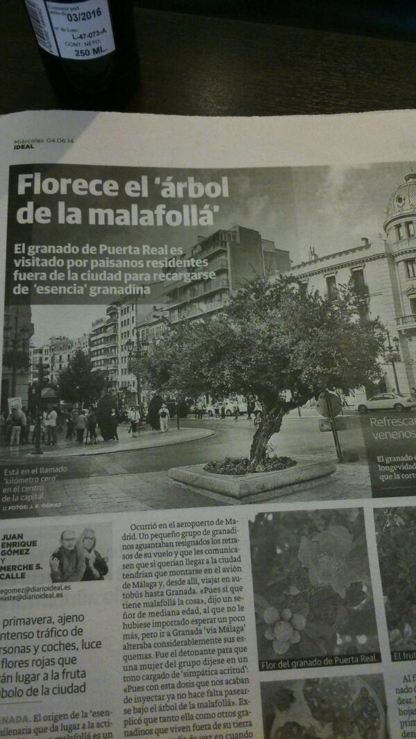 mortadelos's tweet photo. Ahora lo entiendo todo... @mfgranaina http://t.co/zpslvHuqyw