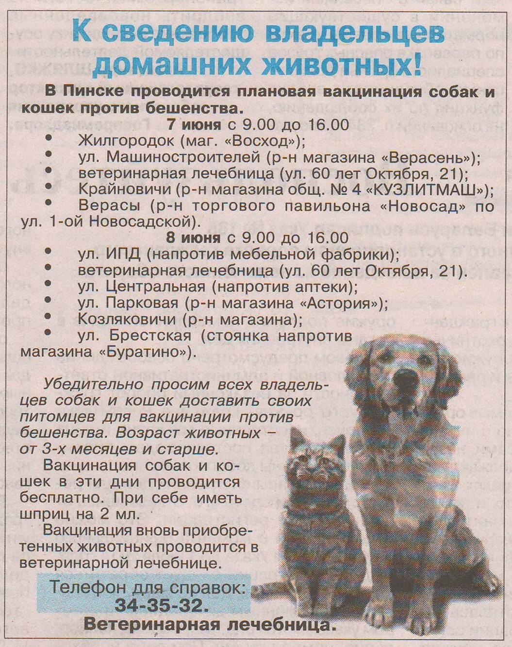 Схема вакцинации собак и кошек