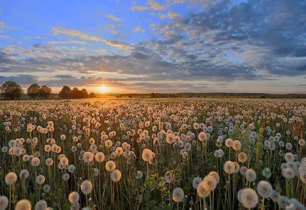 Gabriele_Corno tweet picture
