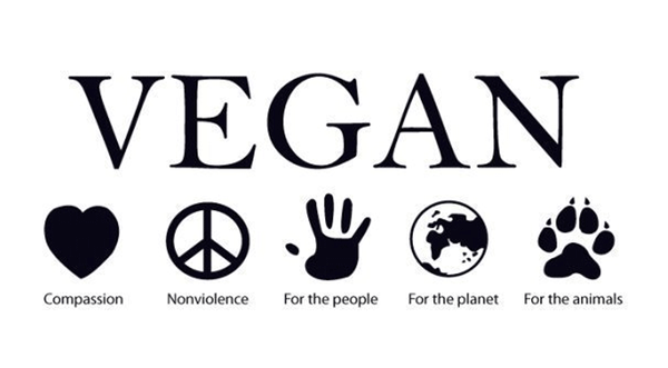 theveganwall's tweet photo. Our video will demonstrate some of the difficulties you encounter with your #vegan lifestyle! Which are yours? http://t.co/zMklLB4DGh