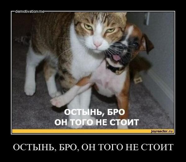ValeriyalsBMS's tweet photo. http://t.co/U95pFryzUH