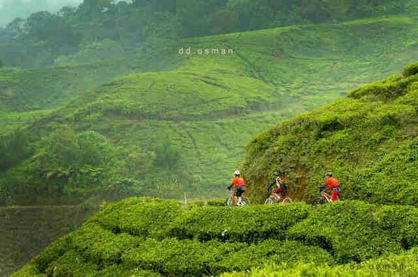 Indahnya alam TN gunung halimun salak.....