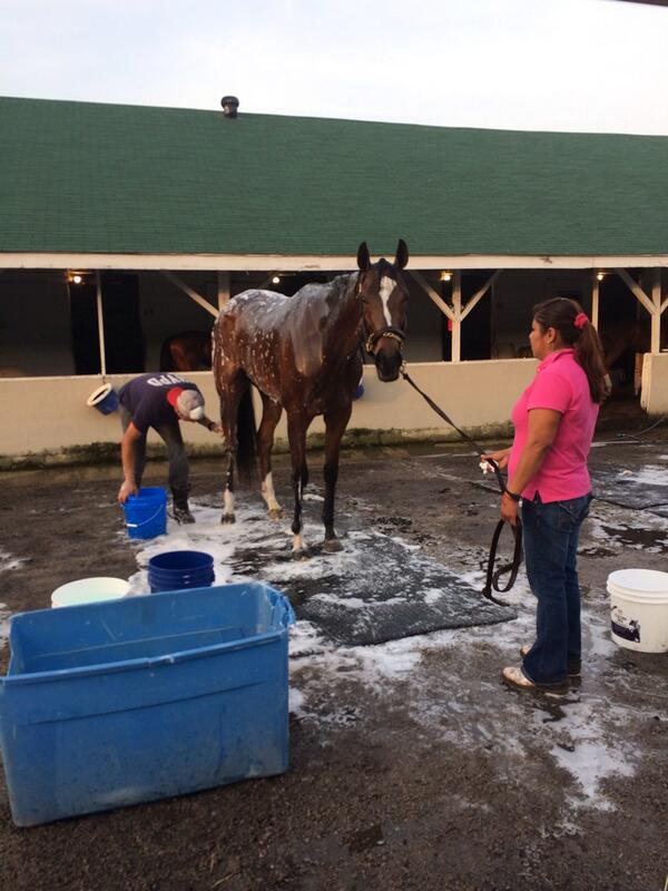 RosieNapravnik's tweet image. #Princess #Untapable