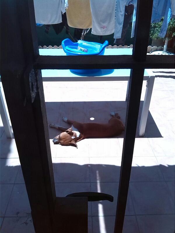 jomagon92's tweet photo. De mayor quiero ser como ella... http://t.co/QiAhqUYVXp