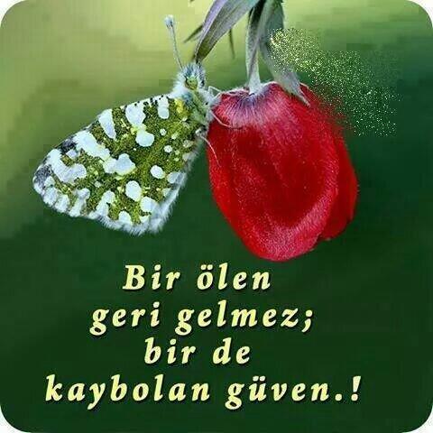 BZortul's tweet photo. http://t.co/m0h9kVLCA3