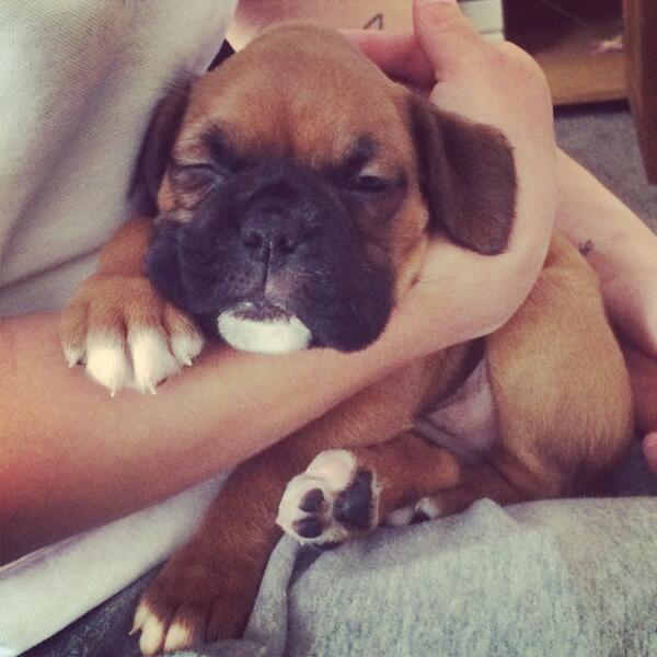 Doesn't get much cuter than this