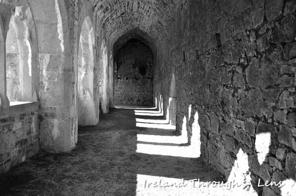 Alan Noonan Photo tweet media