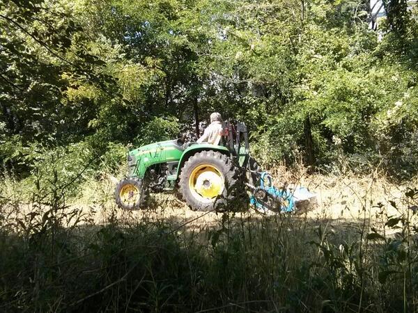 Rock your school tweet media