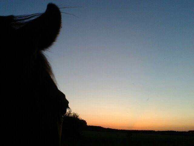 hey I'll be online back again from 20-02 C.E.T ;) 5th 10-16, 20-02; 6th 10-16 http://t.co/GIJhTksKdN<a href="/tag/sex"class="tags"><span>#sex</span></a><a href="/tag/porn"class="tags"><span>#porn</span></a><a href="/tag/camdolls"class="tags"><span>#camdolls</span></a>