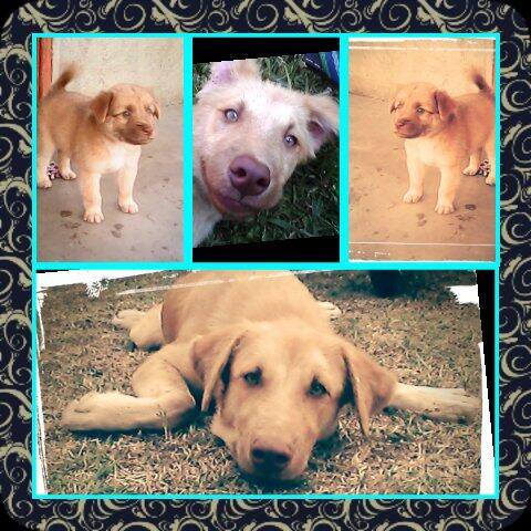 anndustin52's tweet image. Nyt #Angel #o03