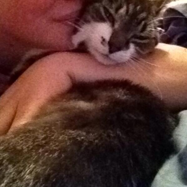 SingleWithCats's tweet photo. *Hugs Cat* http://t.co/l1RkViG7pG