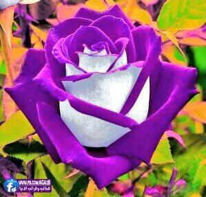 aliblabel's tweet photo. @AngieKauffman http://t.co/NQXUSj0cef