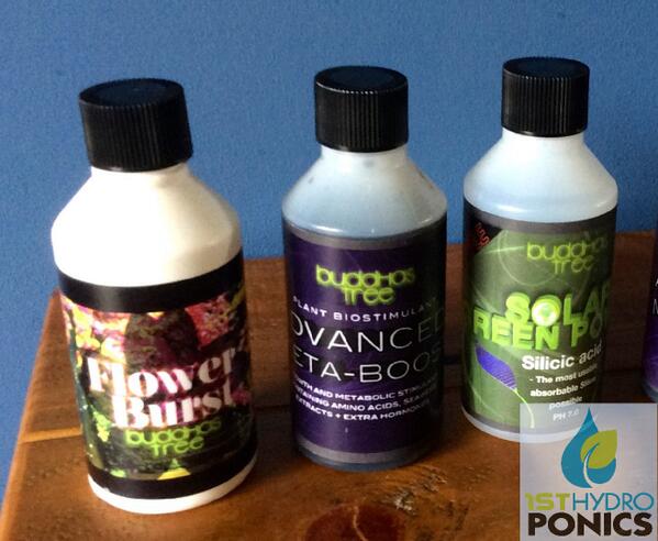 1stHydroPonics's tweet photo. @buddhastreeltd Thanks for the samples from #homegrownexpo http://t.co/pTcvEDa6xy