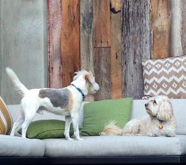 Here's me and one of my good friends, Charlie.