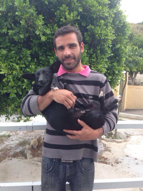 protemalaga's tweet photo. Nuestra Cuquita se ha perdido tras ser adoptada.Zona:Arroyo Jabonero en el Palo.Tiene chip a nombre de la prote.RT http://t.co/y5kdVzWb9f