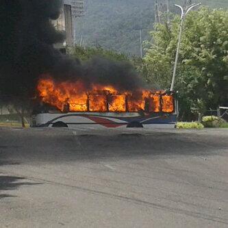 Terrryrevo322's tweet photo. Menos mal y son pacificos estos perros http://t.co/EgwLATNgYv