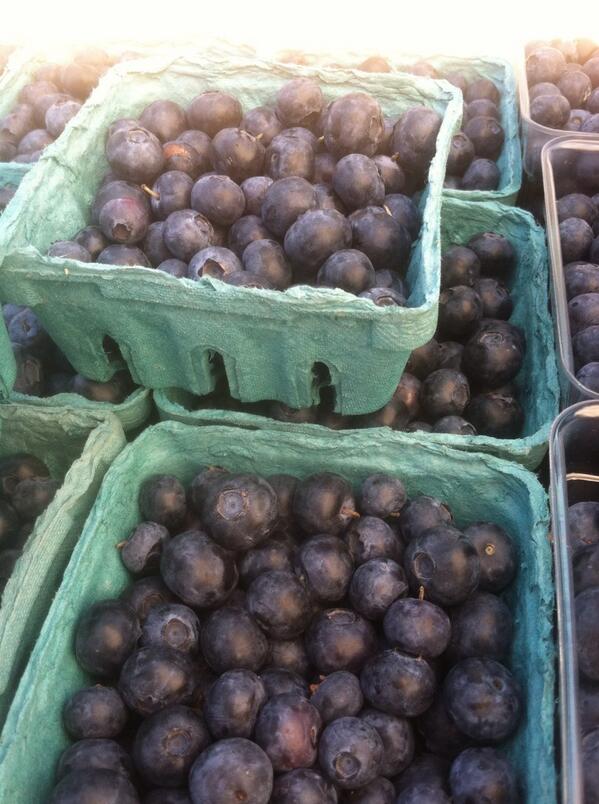 SustainableUMD's tweet photo. It's @FarmersMarketUM time! Say hello to blueberries &amp; our great local vendors! http://t.co/VQ76KYbK2R