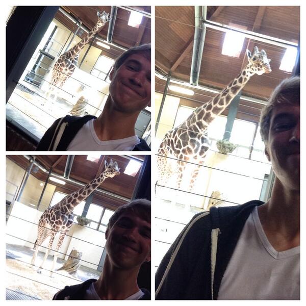 krabby_PATTY16's tweet image. Me and my homies #giraffeneck