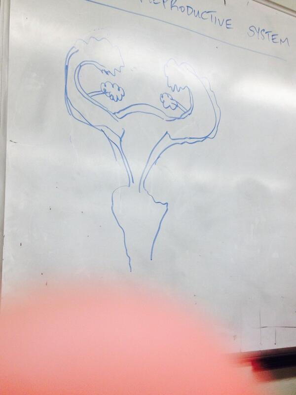 AshesSkyHigh's tweet image. Apparently this is what my vagina looks like. 😳 #pointsforeffort