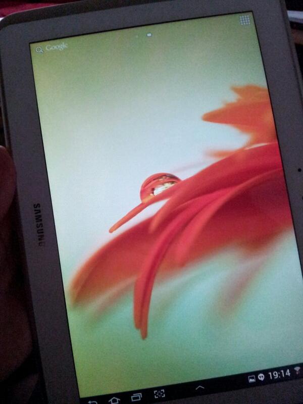 shawnsbud's tweet image. Playing with the #FabTab
♥♥♥→SAMSUNG TAB▶4G◀←