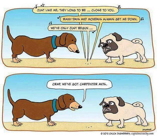 AtlanticPest's tweet image. #bugjokes #pesthumor