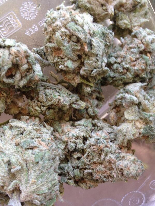 ichybooty's tweet photo. Banana OG ⛽ http://t.co/l1kwjeErXO