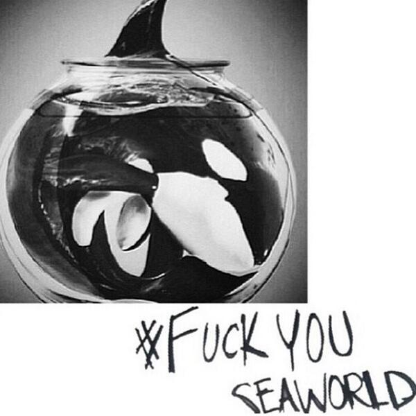 AllisonPearcy's tweet photo. This is for you @MarshaeSymone #freetilikum #seaworldkills http://t.co/YfqqReFrvA