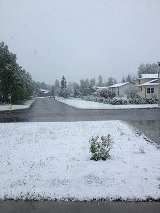 weathernetwork's tweet image. Snow in #Chetwynd, BC earlier. Thanks (and sorry) Kelli Mounsey! #snowinJune