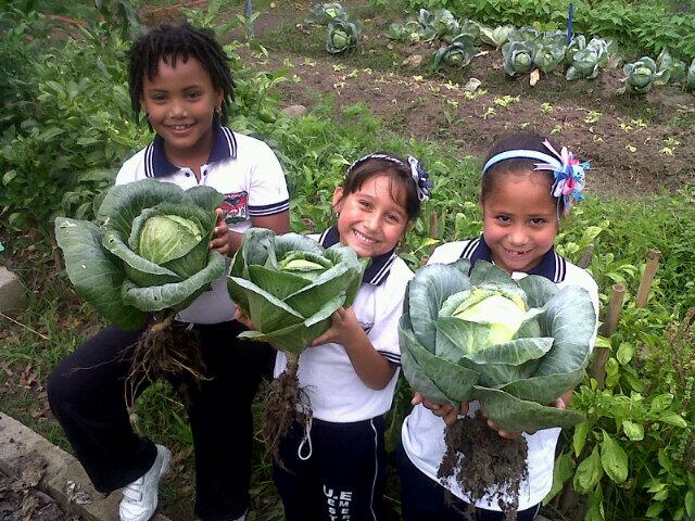 Enlace permanente de imagen incrustada