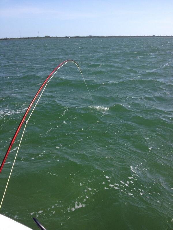 Olcracker's tweet photo. #CrackaLackin “@FLKeysfishguide: Tarpon #fishing #LoveFL ready to book it? http://t.co/Ex1l9BdNIj”