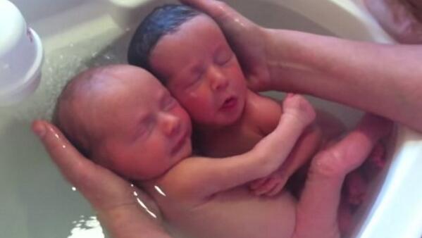 negrita738's tweet photo. ¡ awww que tiernitos ! http://t.co/PZ2bxazoi0"