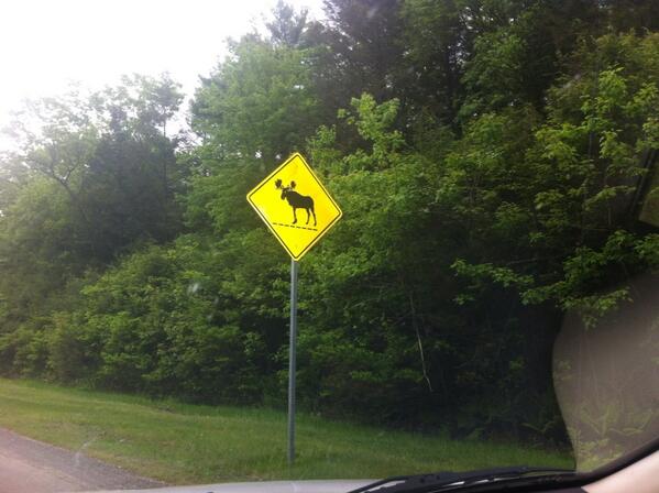 Tyrhamarie's tweet image. Headed 2 Boston 4 AMA Marketing &amp;amp; Public Policy. Gotta drive thru moose country to get there! #docpolicy @amadocsig