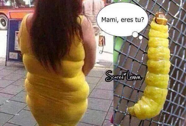HumorDefeno tweet picture