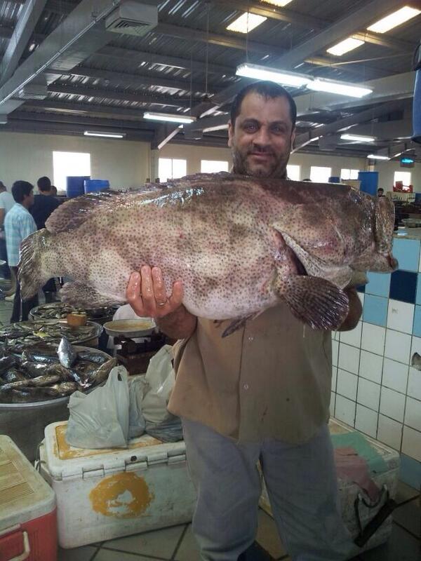 That's a big #Hamoor carried by Jameel Marhoon. Order now and get