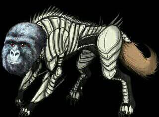 iJimmyRustler's tweet photo. Sees it as i went ferel and was an arancar gorilla http://t.co/XdbSPlIdAd