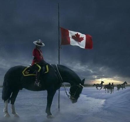 Being Police officer is deciding 2 give your life to serve+Protect.Thinking of  U.Thanks 4 what you've done #Moncton