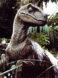 Not Chris Bosh tweet media