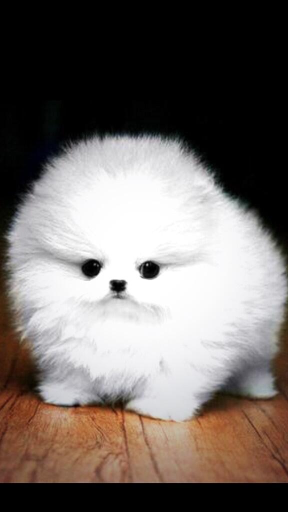 “<a href="/rickygervais/">Ricky Gervais</a>: I just found this in my belly button ” <a href="/davidjaquin/">David Jaquin</a> story of your life!