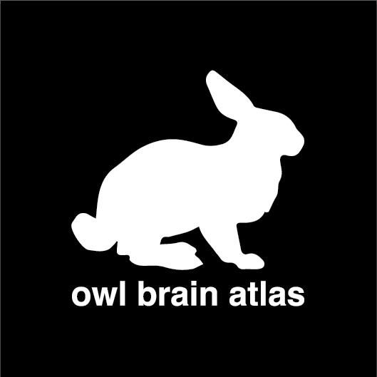 I have some nice vinyl Owl Brain Atlas stickers. Send your snail address to madverse @ gmail if you'd like one. <3
