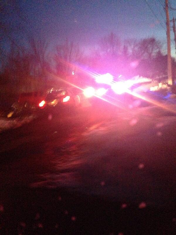 SilkDon's tweet image. #freefish