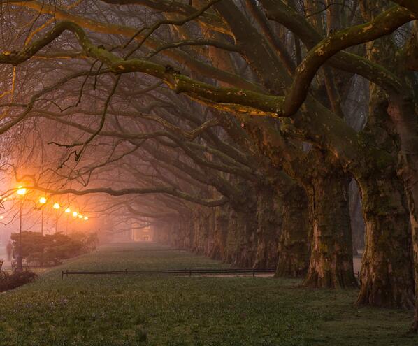 Gabriele_Corno's tweet image. Gorky Park, Moscow by Mariuszbrcz #inspiration #CGE