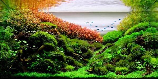 İnanılmaz Ödüllü Su Tasarımları!