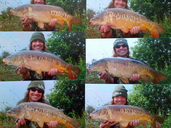 Just a few from a manic session..24 in 9 hours and 23 off the top.Nash Riser and Slicker Pellets and Bolt Machine :-)