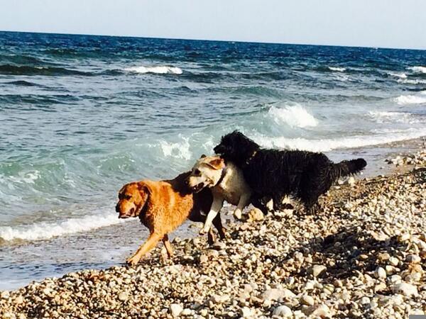 Animos Malaga!!! #tereponmeunaplaya