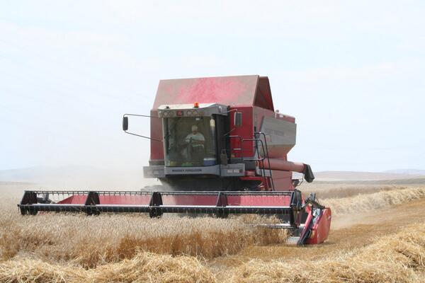 PortalBesana's tweet photo. El calor de mayo adelanta la recolección y merma los rendimientos de los cereales de invierno http://t.co/vgJBdpWWyg http://t.co/lwS727Wd08