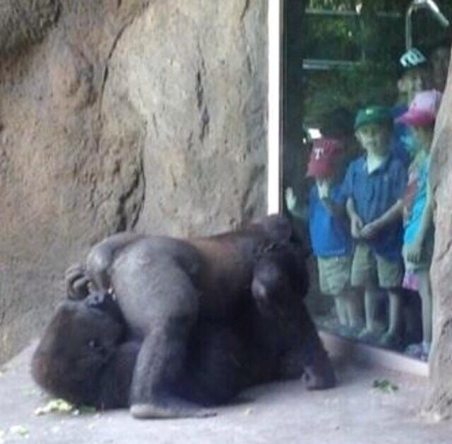 Hahaha just saw this on Instagram http://t.co/SjWK3B6b9V