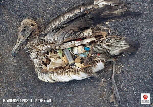 jbdba's tweet photo. Campagne choc pour la protection des animaux ! "Si vous ne ramassez pas ils le feront" http://t.co/fGY6rWRD9B