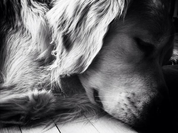 davidpatterson's tweet image. Feeling better but still not quite right after visit to doctor: